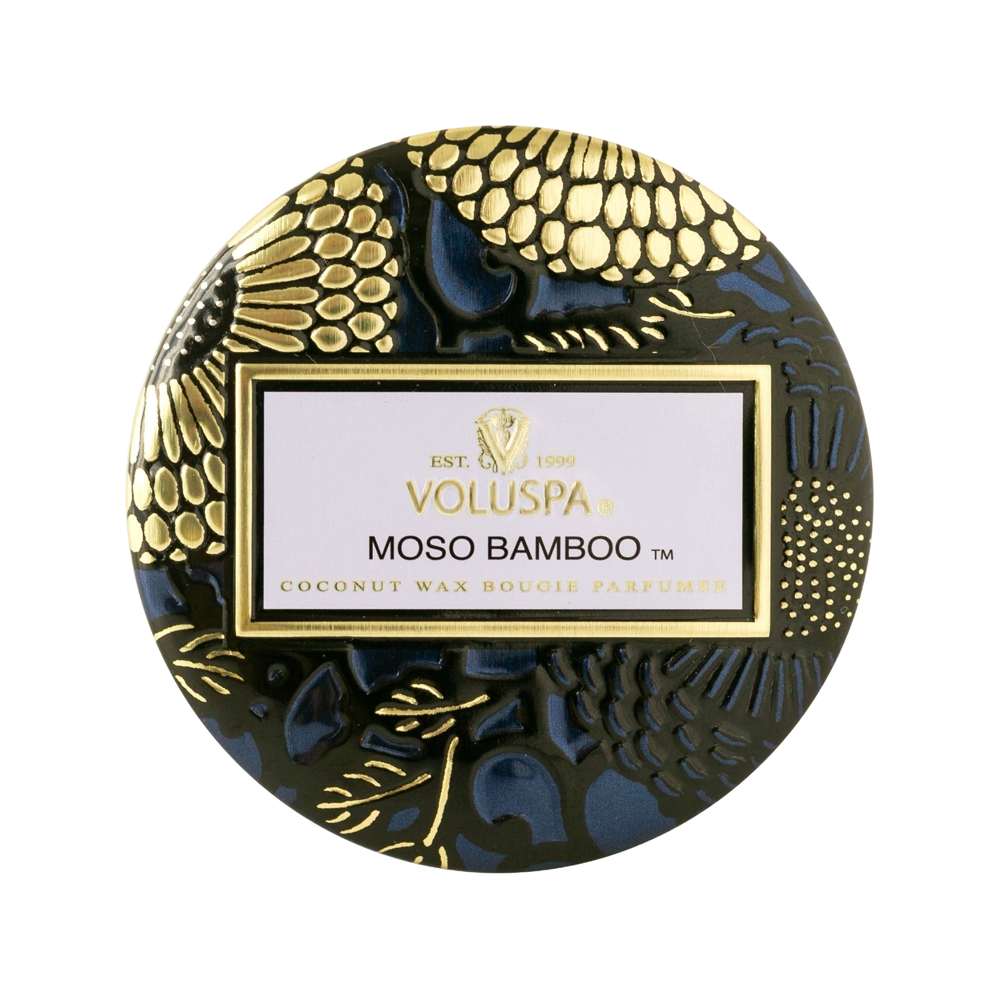 Moso Bamboo - Tiny Tin