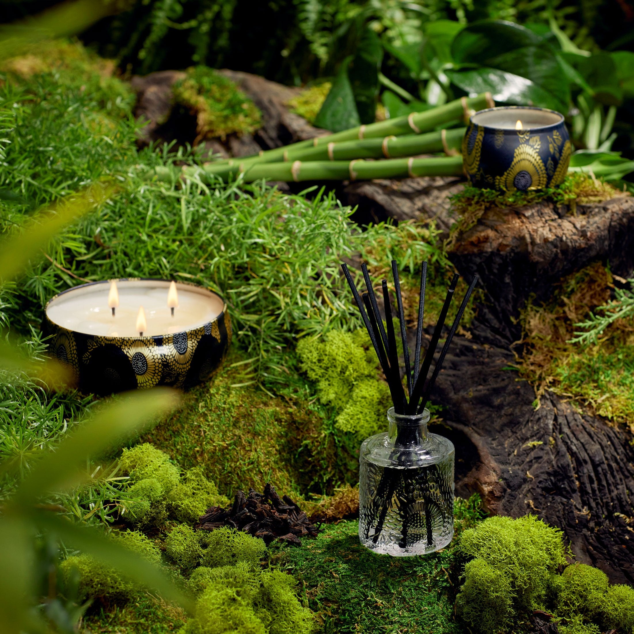 Moso Bamboo - Mini Tin Candle - Image 2