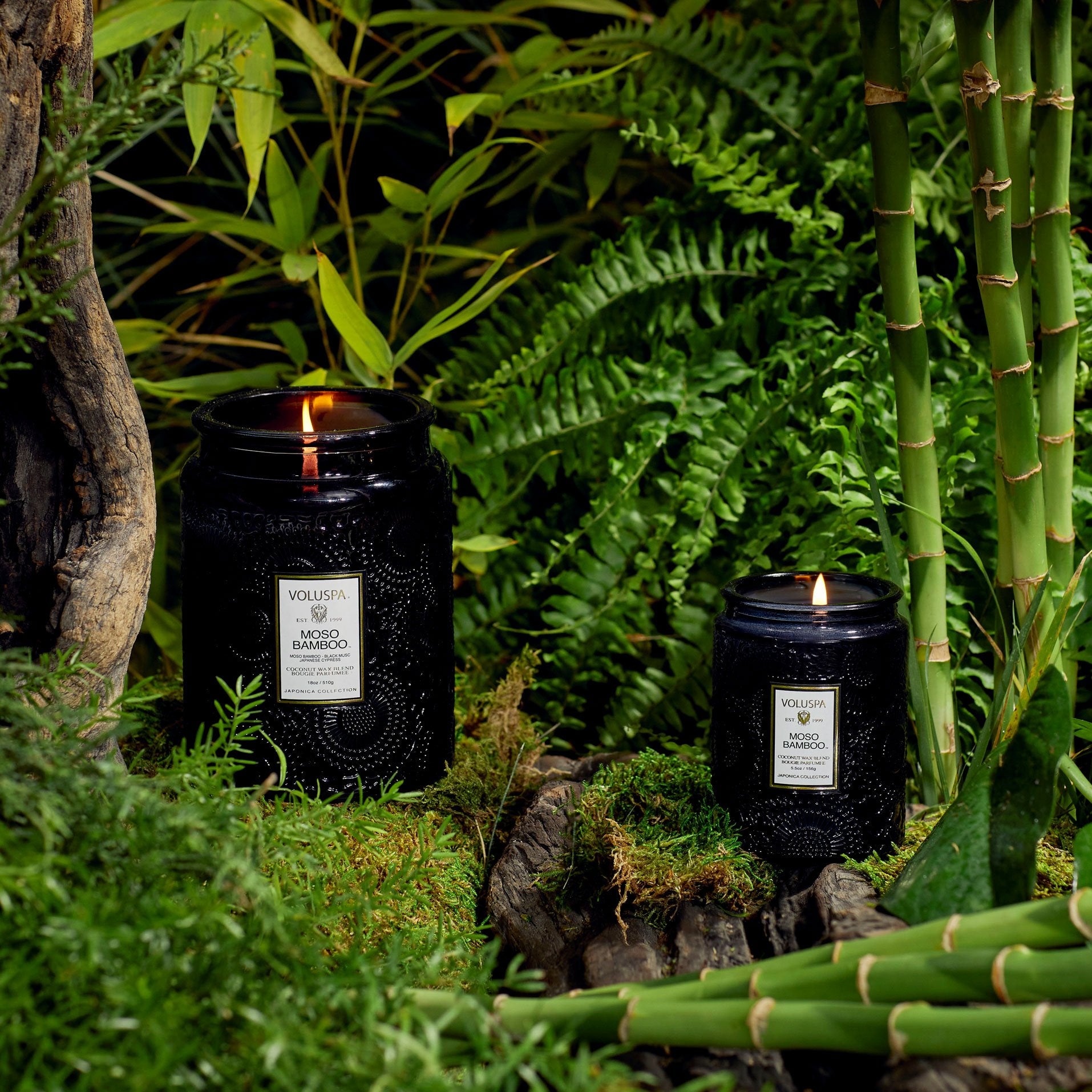 Moso Bamboo - Small Jar Candle - Image 2