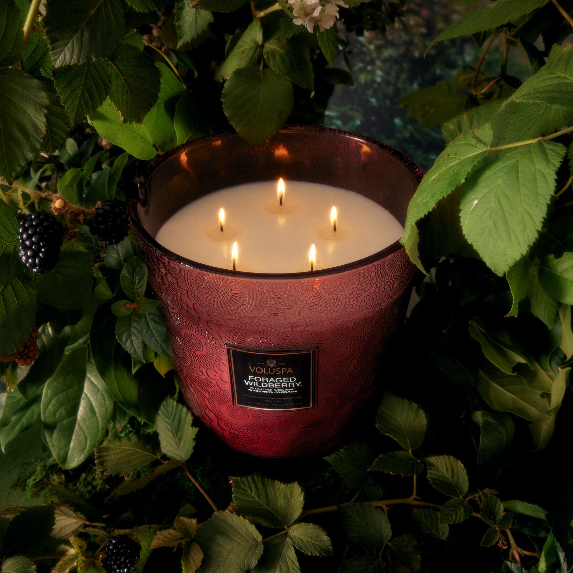 Foraged Wildberry - 5 Wick Hearth Candle - Image 2