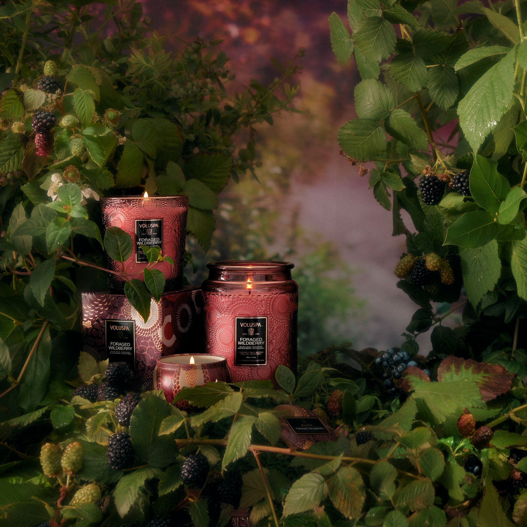 Foraged Wildberry - Classic Candle - Image 3