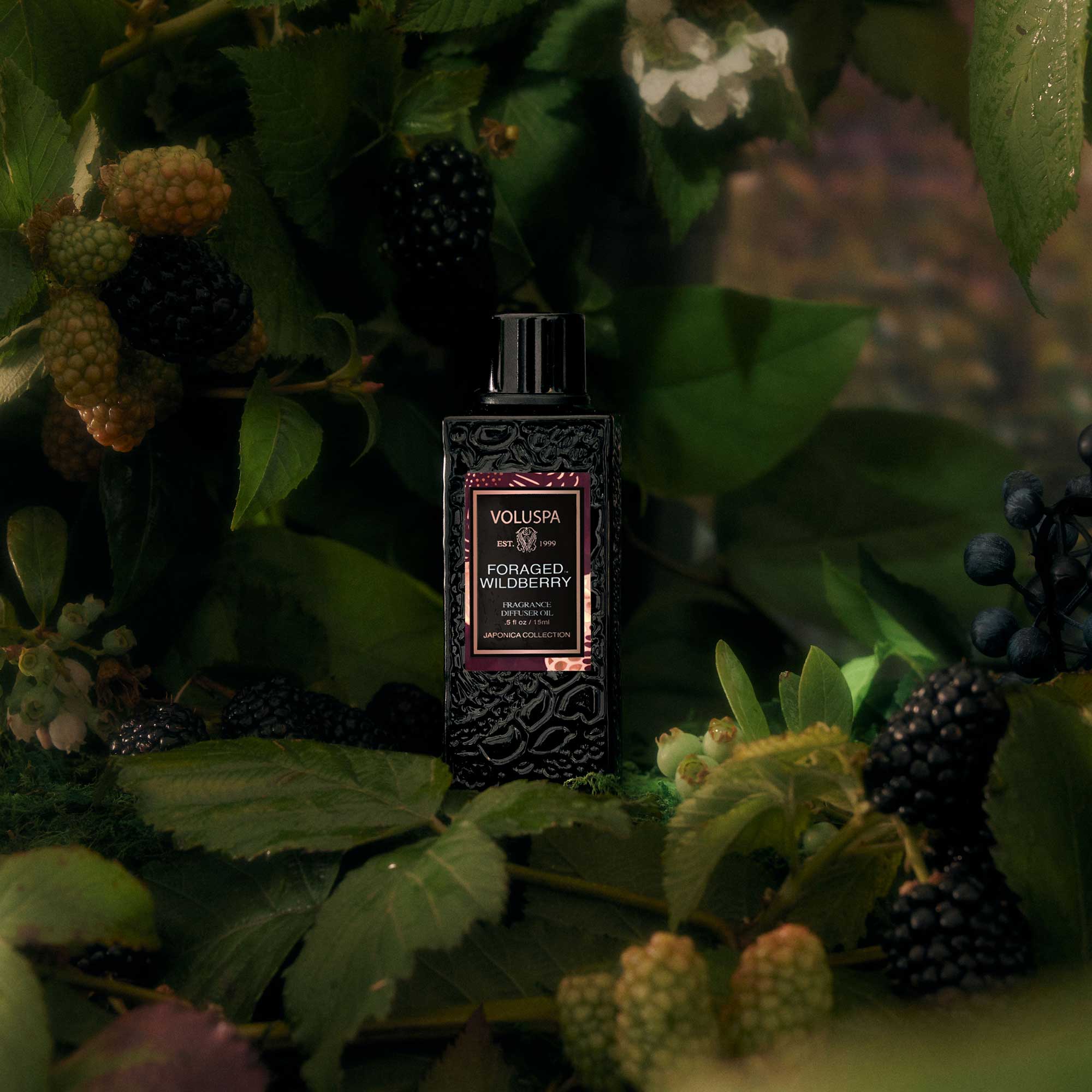 Foraged Wildberry - Ultrasonic Diffuser Fragrance Oil - Image 2