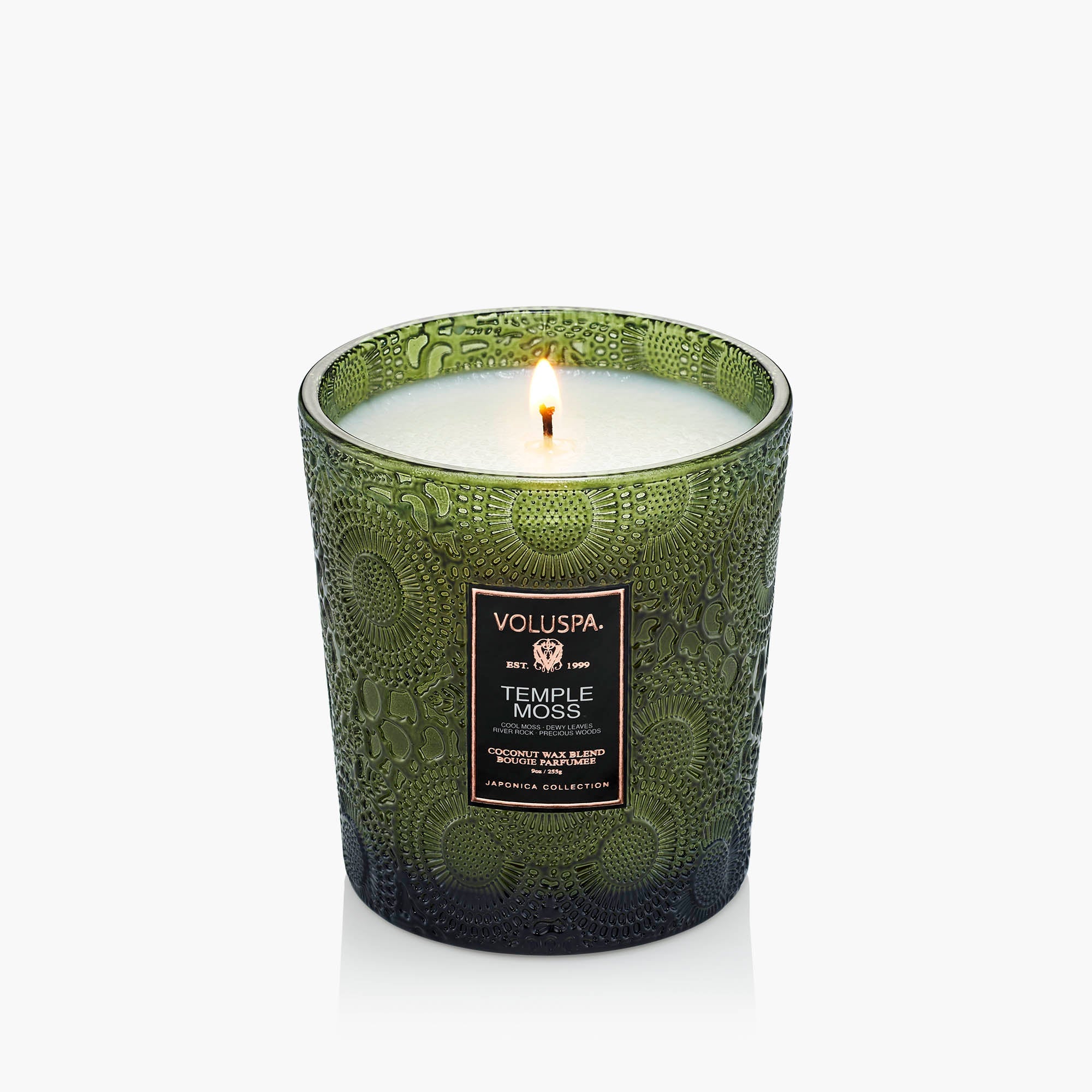 Temple Moss - Classic Candle - Image 5